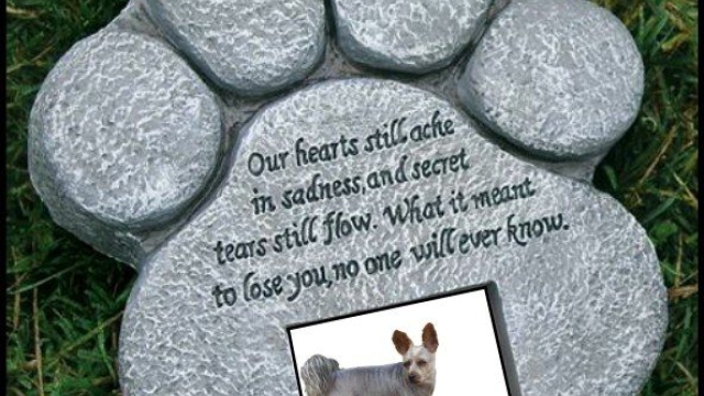 Forever Loved: Honoring Our Beloved Pets with a Meaningful Memorial