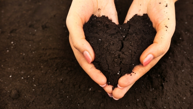 The Secret to Thriving Gardens: Unleashing the Power of Organic Soils