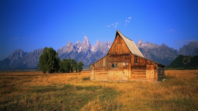 Unveiling the Artistry: Log Cabins That Embody Masterful Craftsmanship