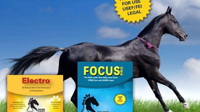 The Power of Equine Nutrition: Unleashing the Benefits of Horse Health Supplements