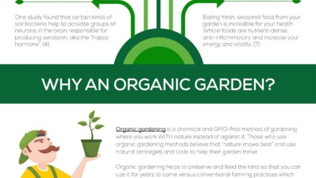 Unearthing the Secrets to Flourish: Mastering the Art of Organic Gardening