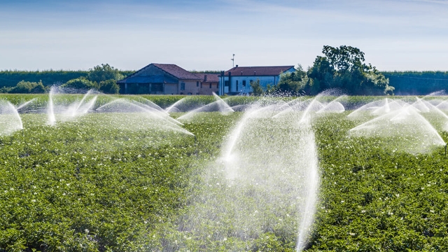 Aqua Wizards: Unveiling the Art of Irrigation Installation