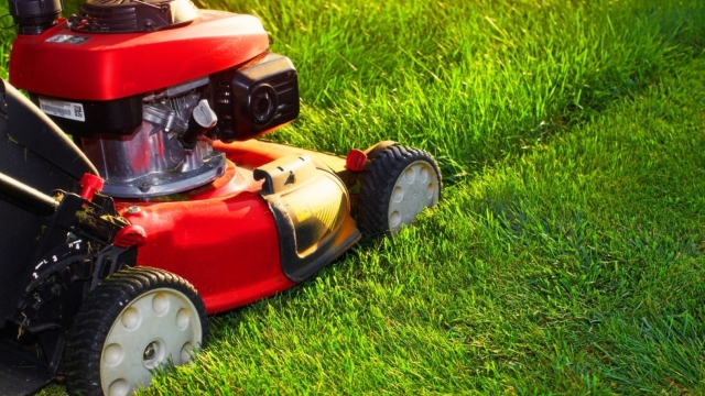 Green and Serene: Mastering the Art of Lawn Care