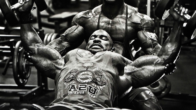 Muscle Mastery: Unleashing the Power of Bodybuilding