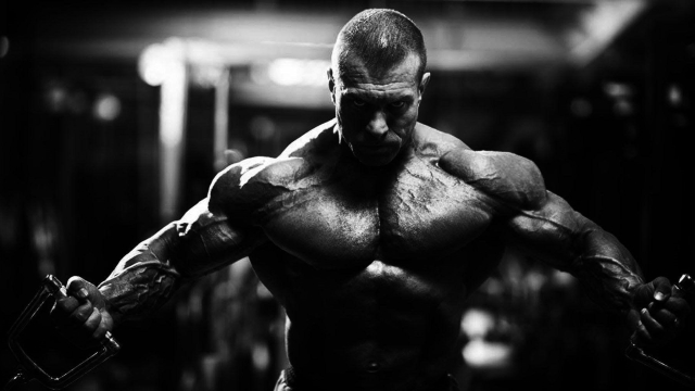 Muscle Mastery: Unveiling the Art of Bodybuilding