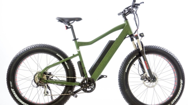 Silent Stalkers: Exploring the World of Hunting Electric Bikes