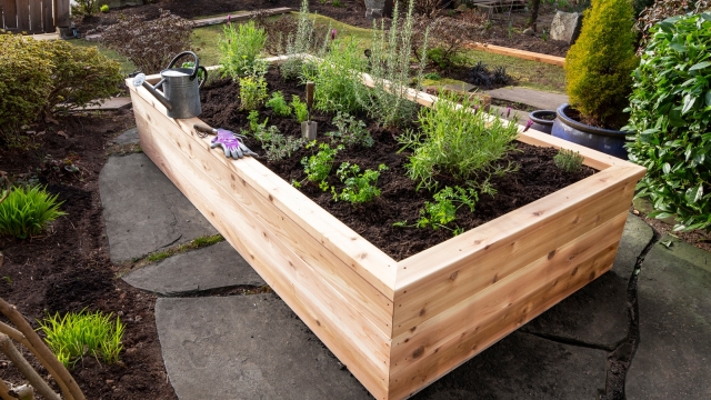 Blooming Ideas: Creative Garden Bed Designs to Transform Your Outdoor Space