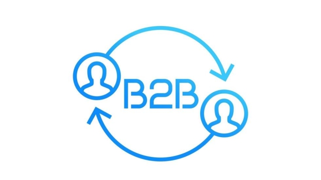 Unlocking Success: B2B Strategies for Growth