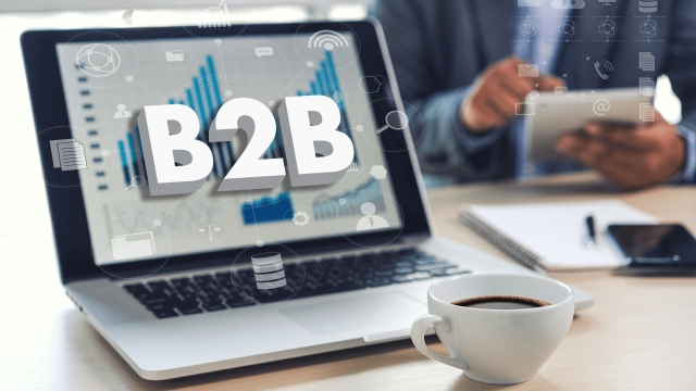 Unlocking the Power of B2B Strategies: A Guide for Success