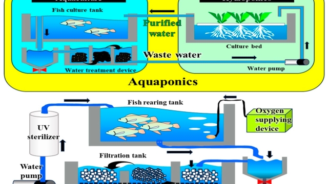 Revolutionizing Our Waters: The Future of Aquaculture Technology