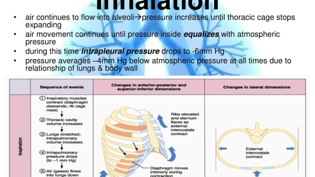 Breathe Easy: Unveiling the Future of Inhalation Devices