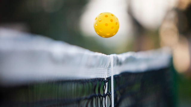 Serving Up Fun: Discover the Joys of Pickleball!