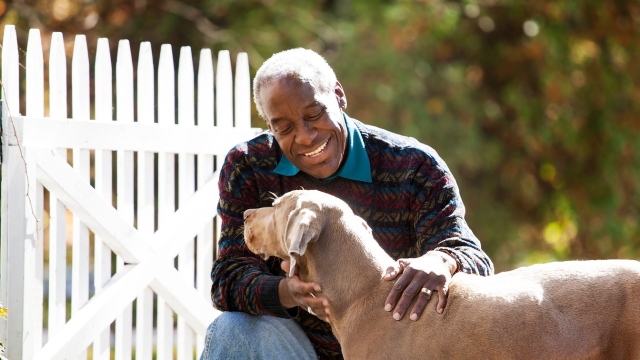 Paws and Claws: The Joyful Adventures of Pet Parenthood