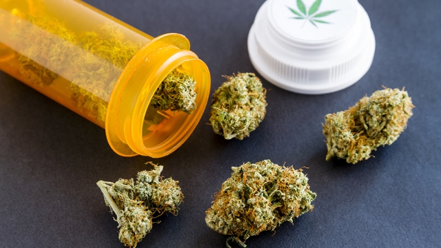 Understanding the Endocannabinoid System and Cannabis Healing