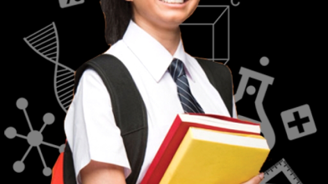 Tailored Learning: Crafting Success with Boutique Tutors
